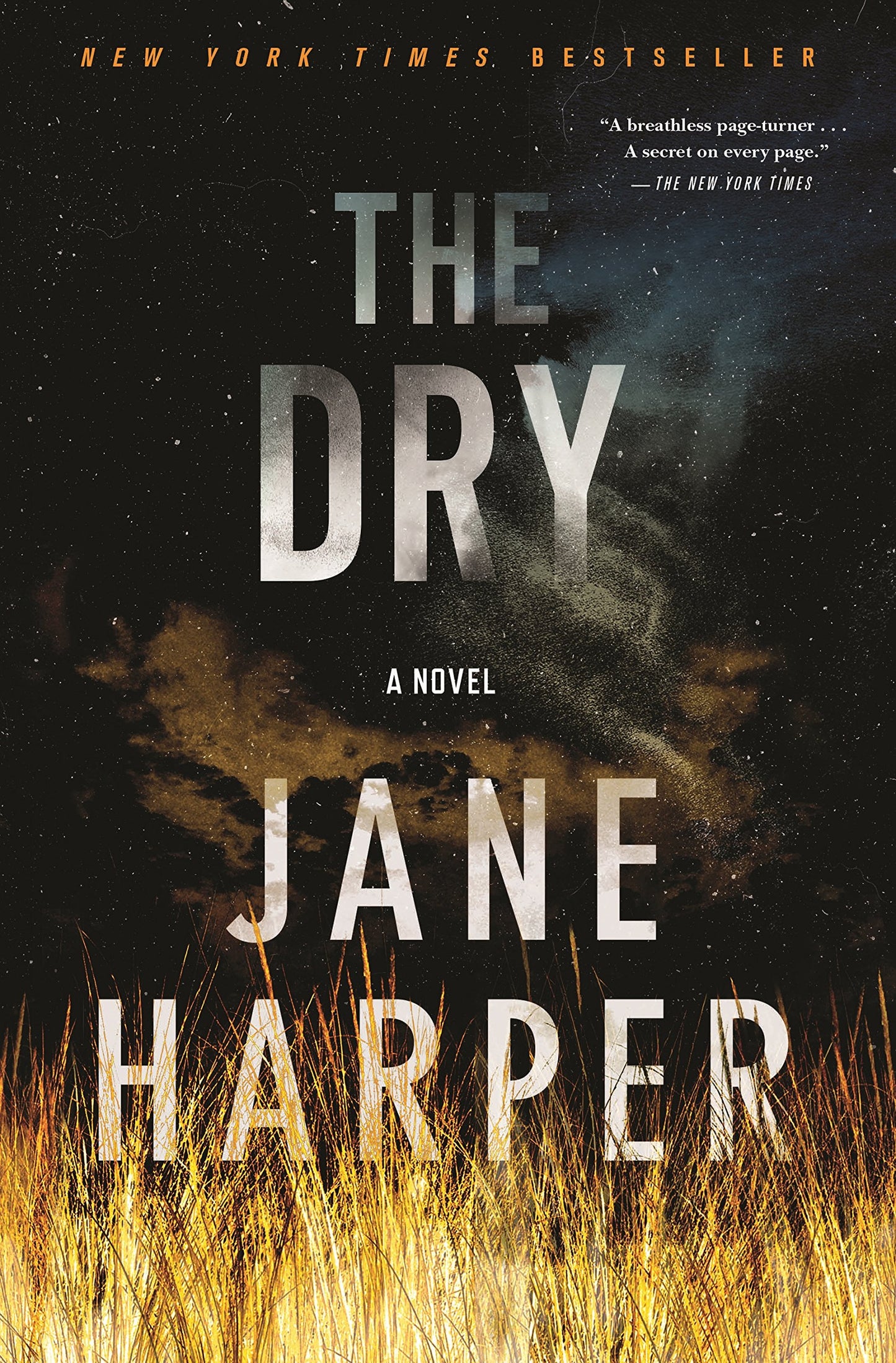 The Dry: A Novel The Happy Book Stack