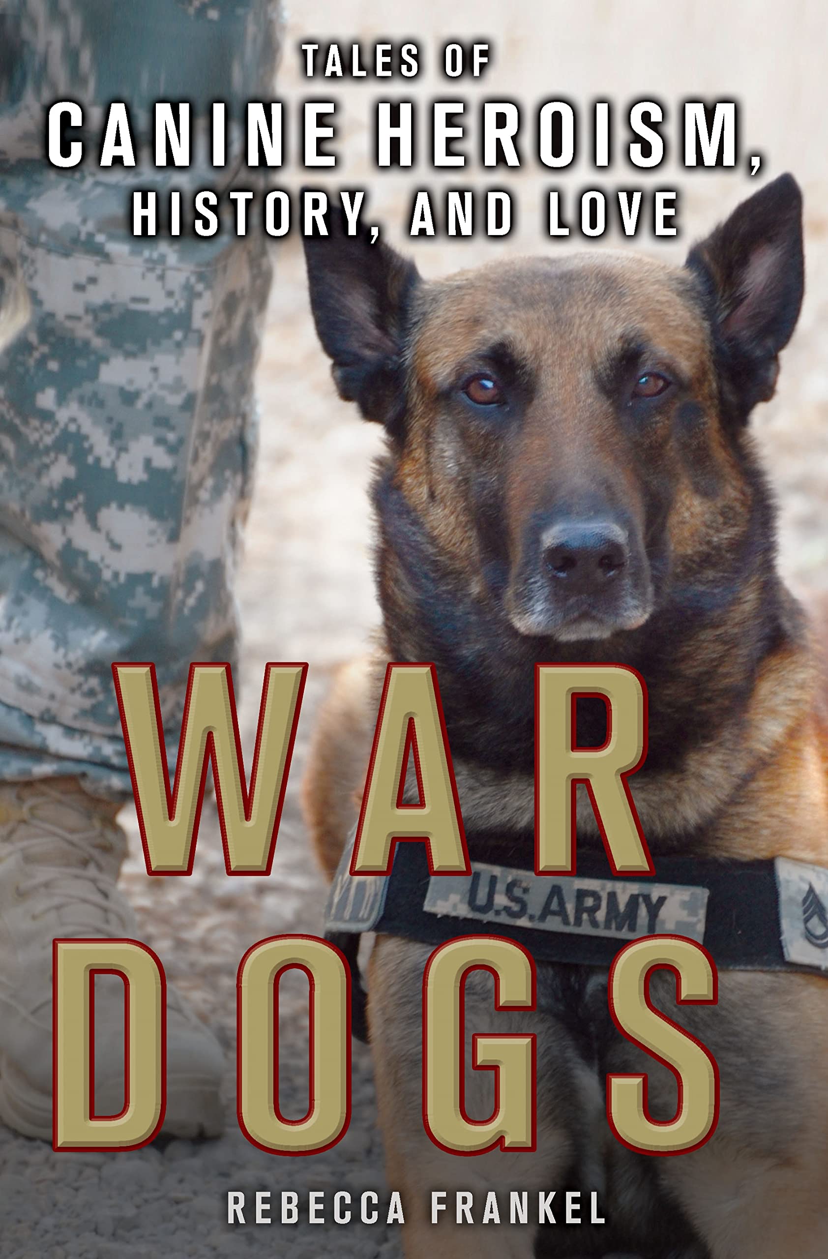 War Dogs (Ya Edition) The Happy Book Stack