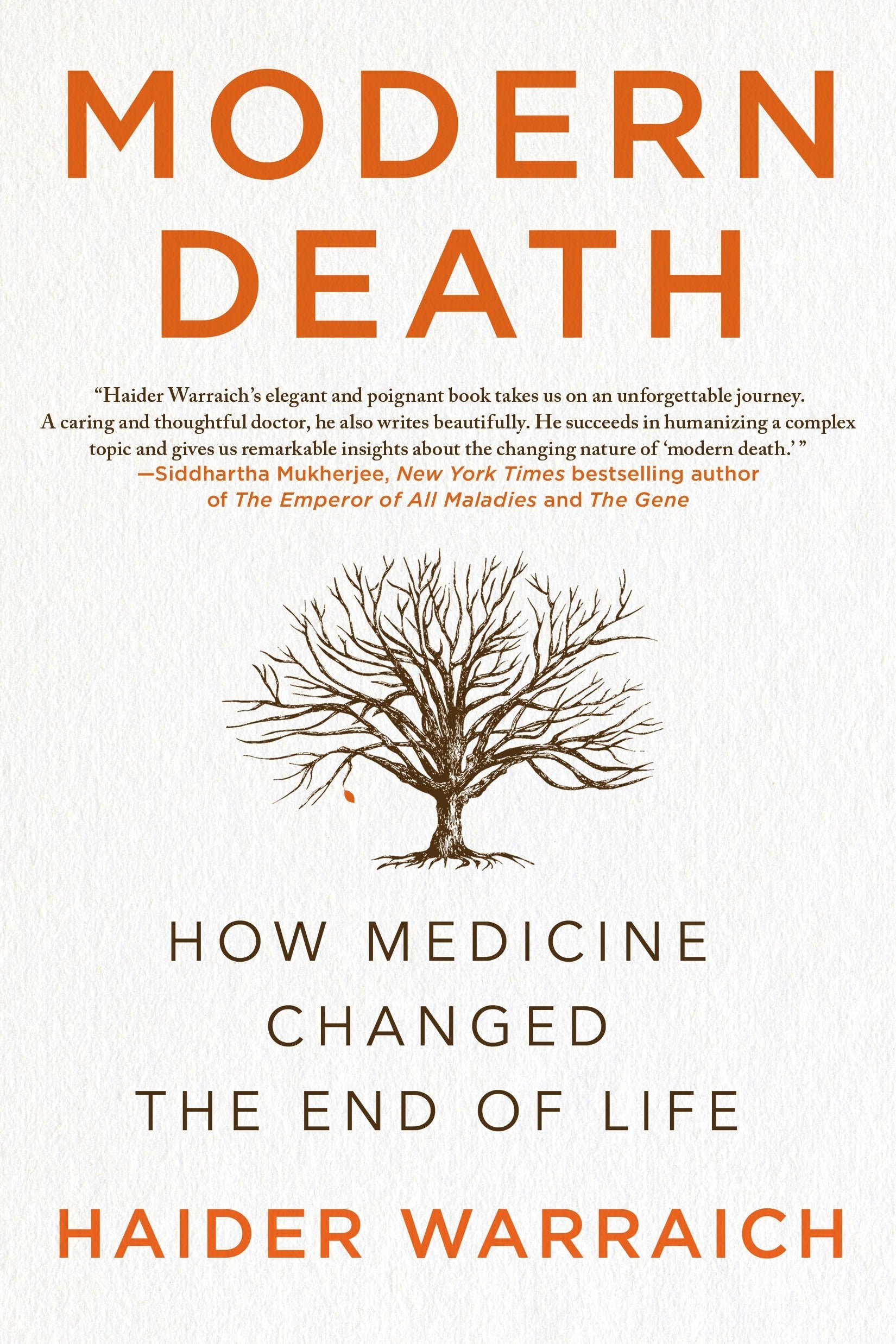 Modern Death: How Medicine Changed the End of Life The Happy Book Stack