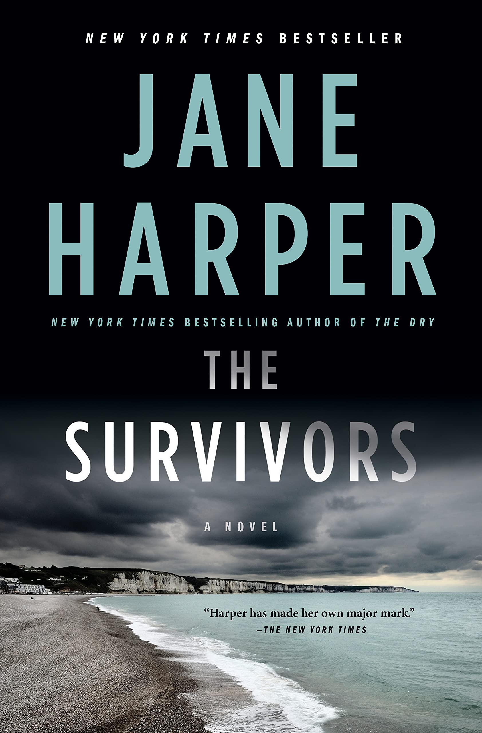 The Survivors: A Novel The Happy Book Stack
