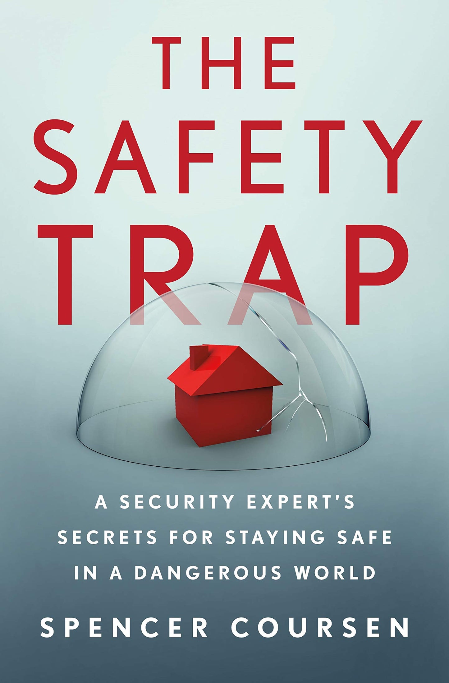 The Safety Trap: A Security Expert's Secrets for Staying Safe in a Dangerous World - 8068