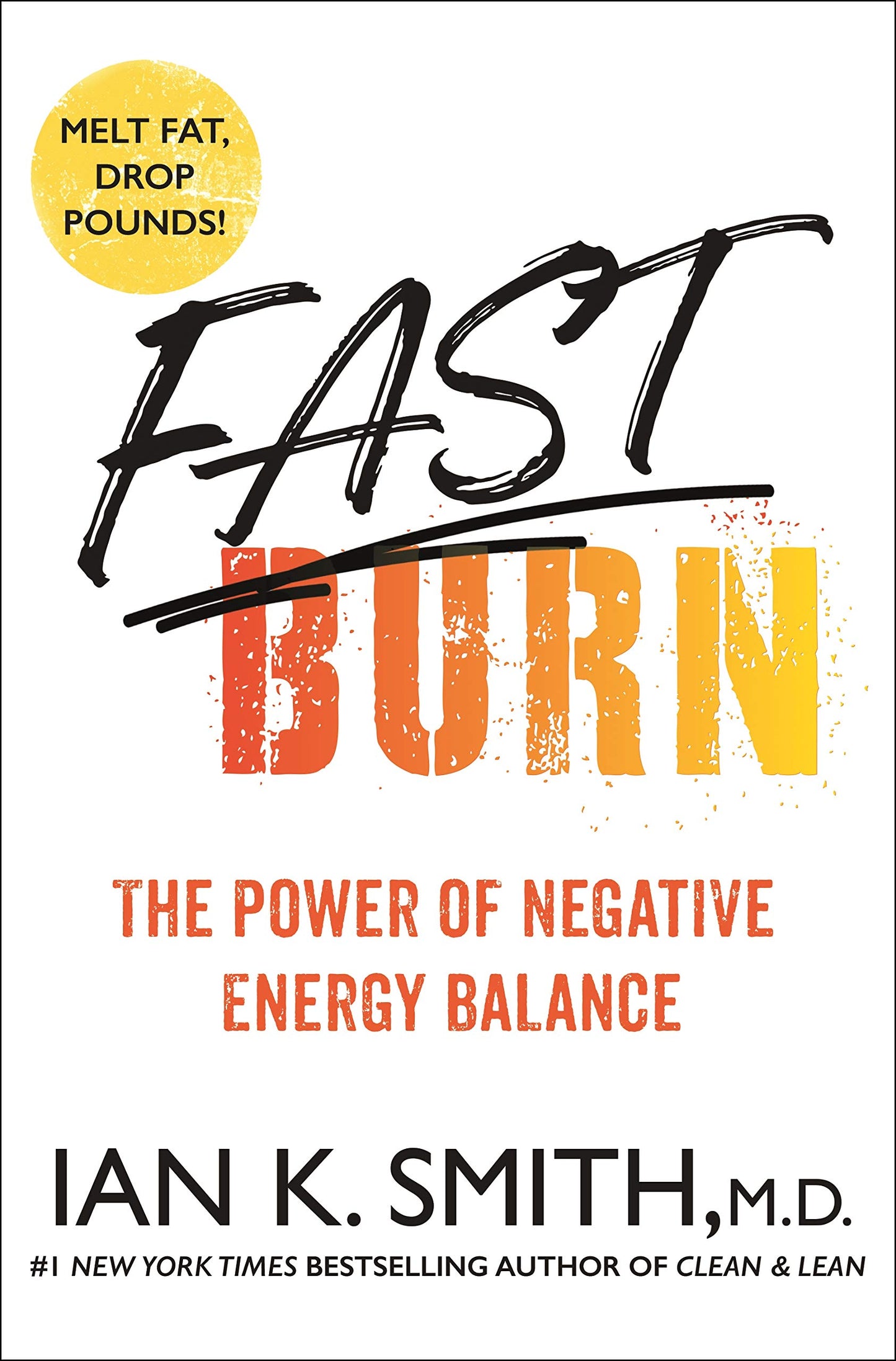 Fast Burn!: The Power of Negative Energy Balance The Happy Book Stack
