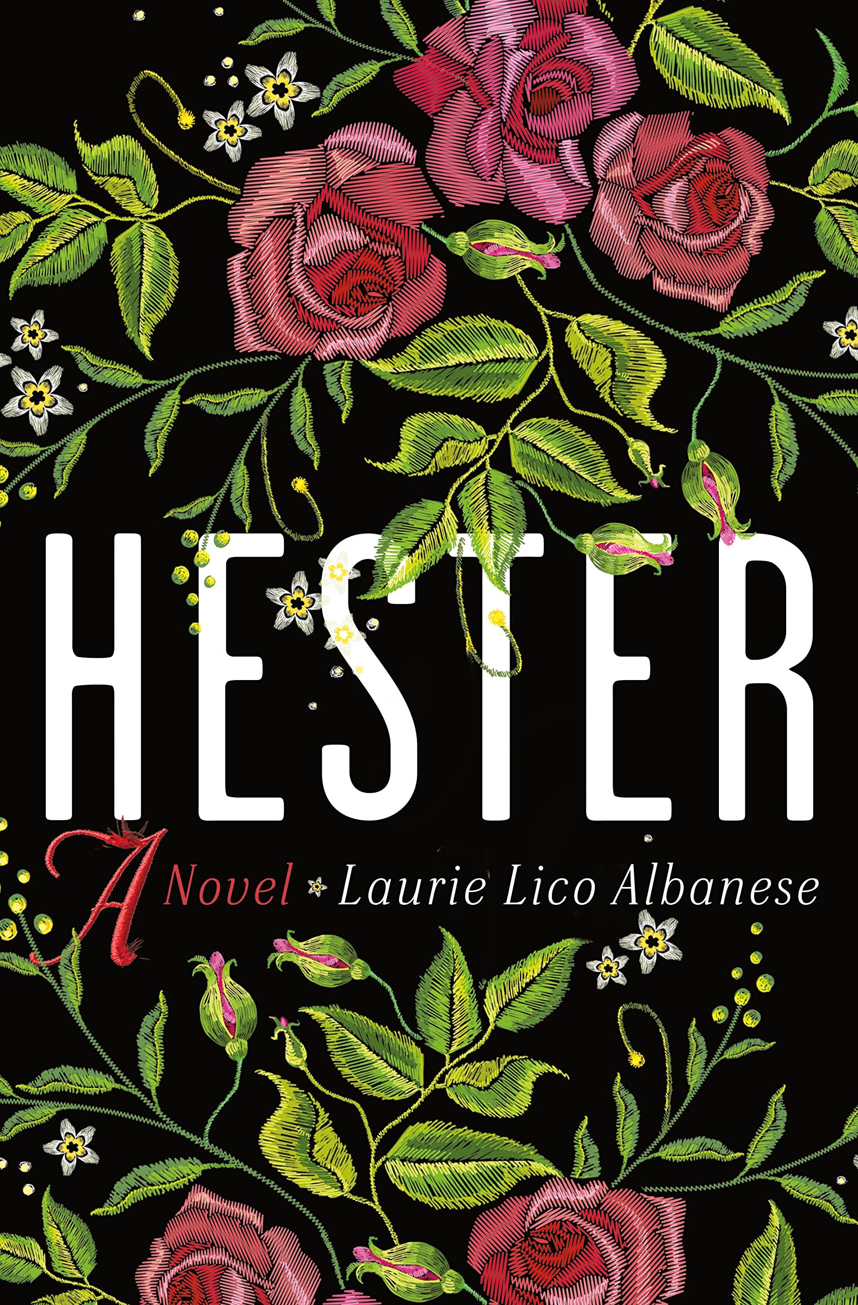 Hester: A Novel The Happy Book Stack