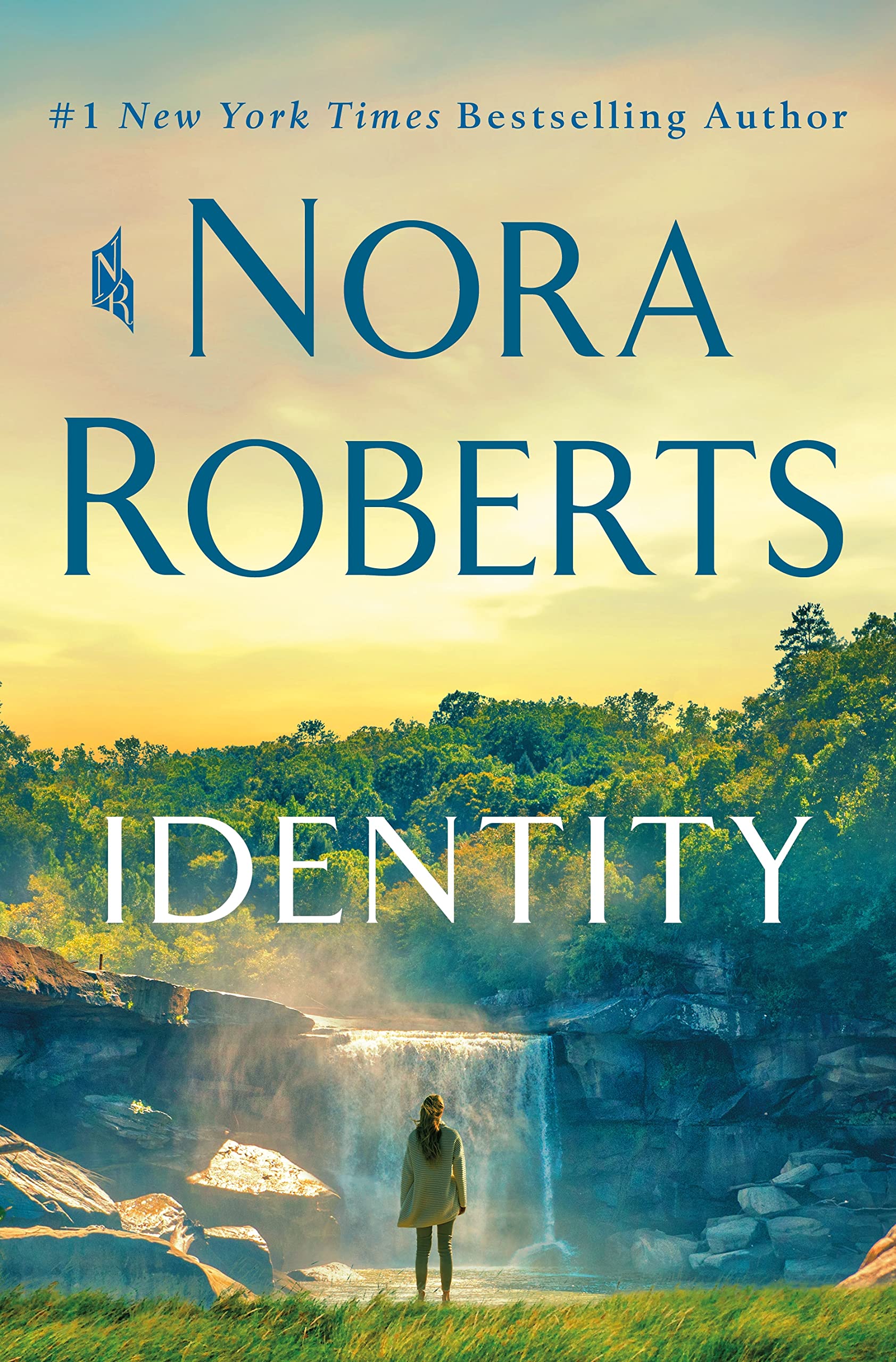 Identity: A Novel The Happy Book Stack
