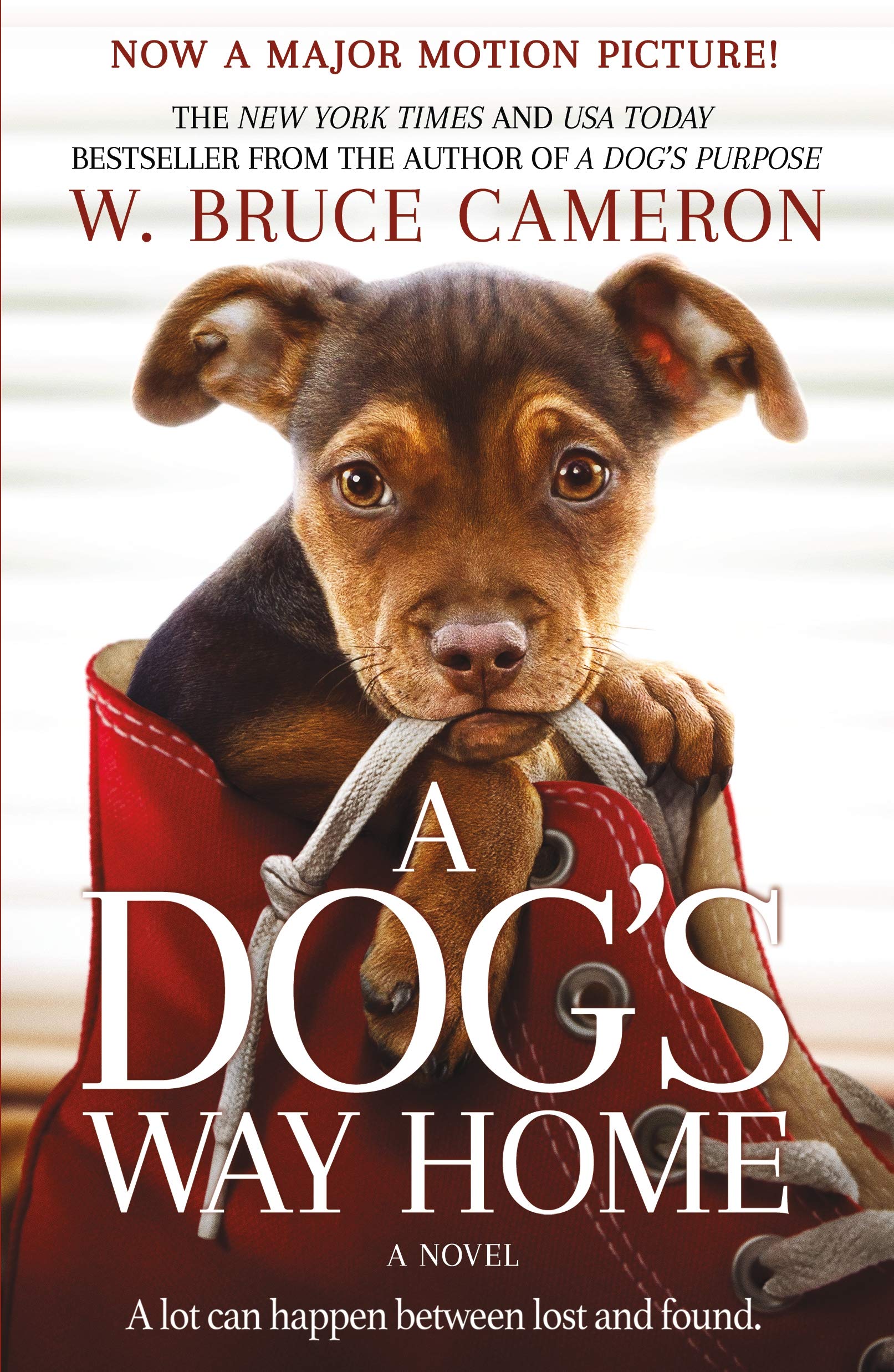 A Dog's Way Home Movie Tie-In: A Novel (A Dog's Way Home Novel, 1) The Happy Book Stack