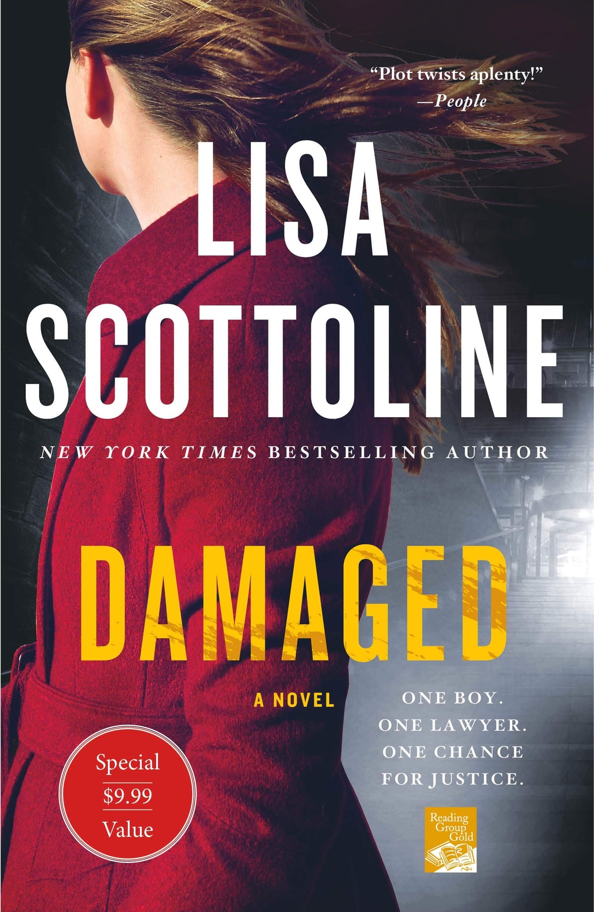 Damaged: A Rosato & DiNunzio Novel The Happy Book Stack
