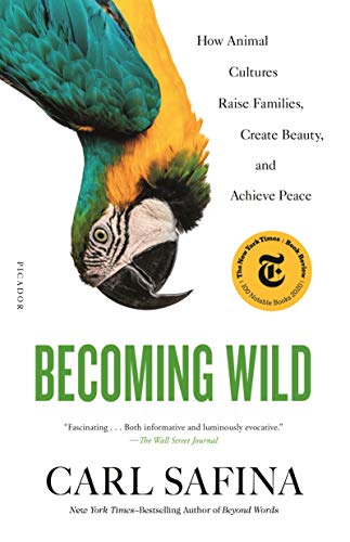 Becoming Wild The Happy Book Stack
