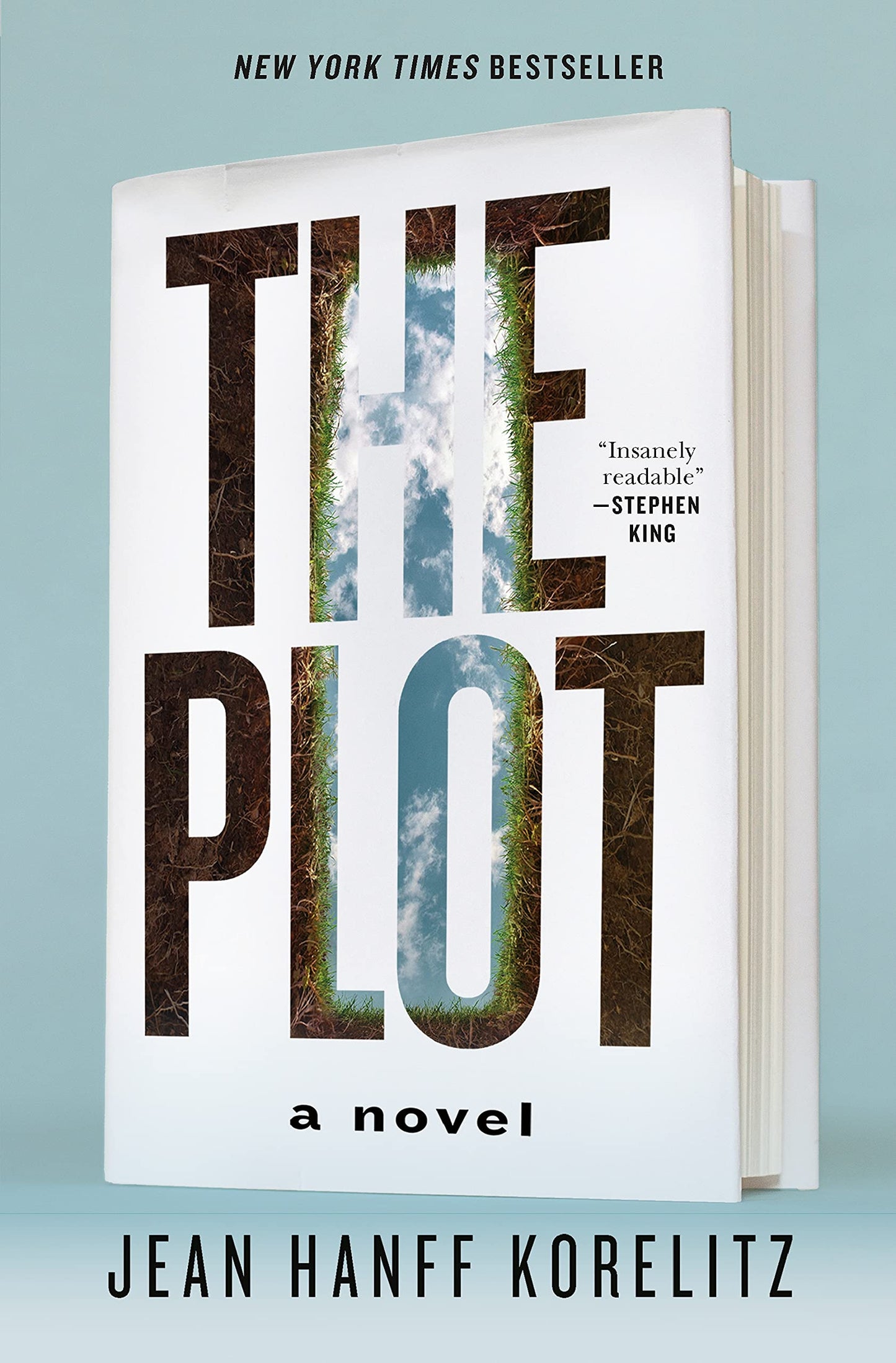 The Plot: A Novel (The Book Series, 1) The Happy Book Stack