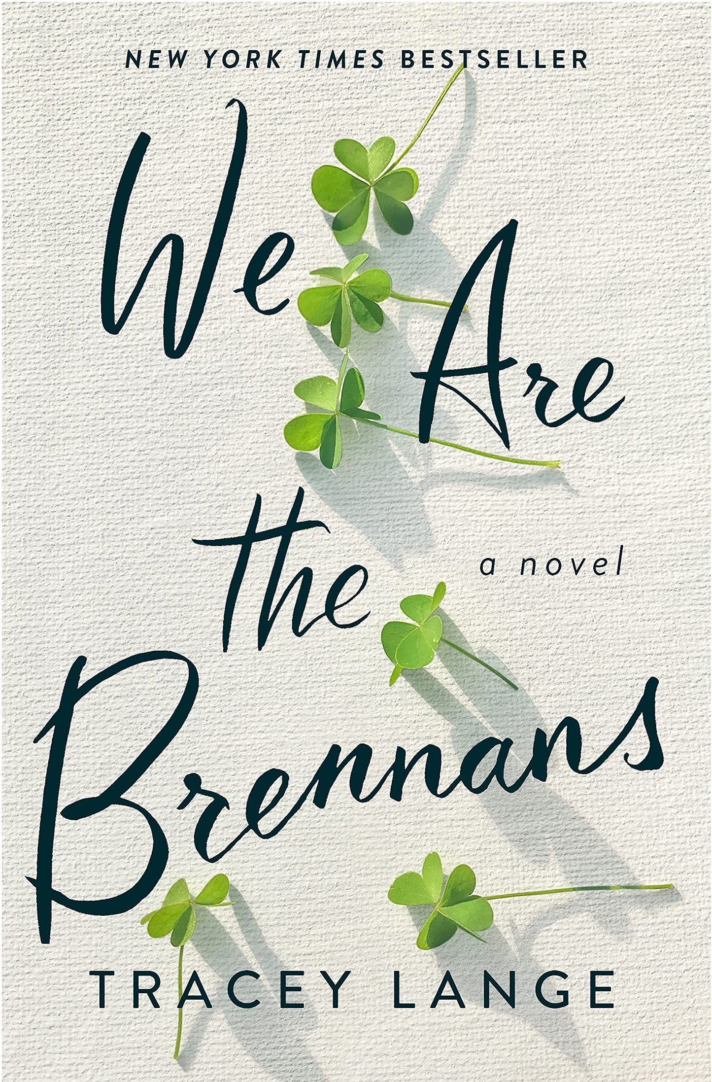 We Are the Brennans: A Novel The Happy Book Stack
