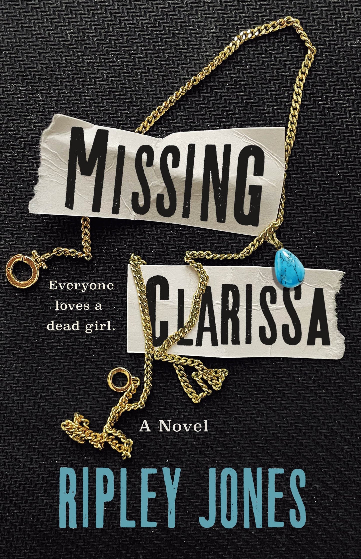 Missing Clarissa: A Novel The Happy Book Stack
