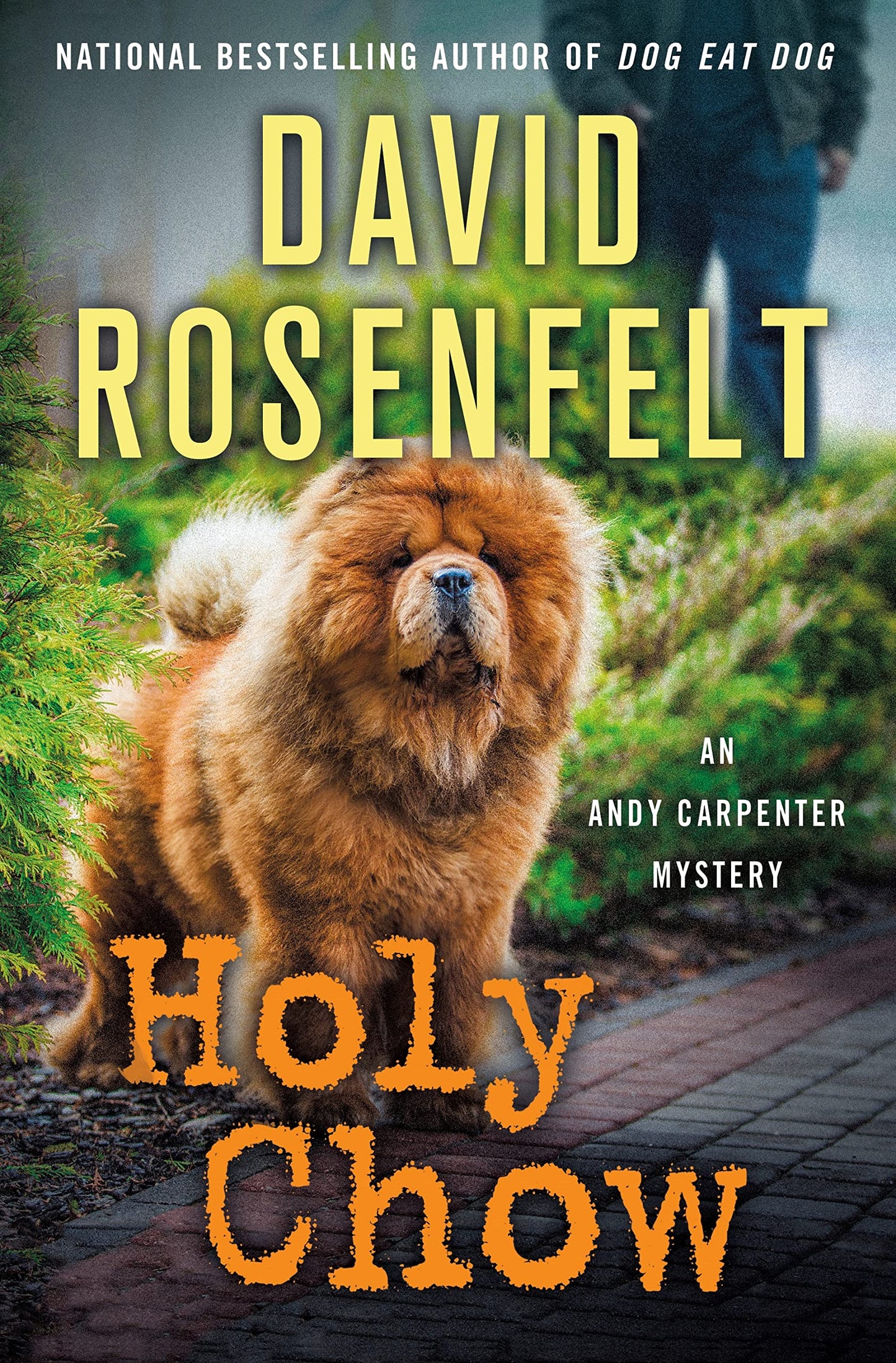 Holy Chow: An Andy Carpenter Mystery (An Andy Carpenter Novel, 25) The Happy Book Stack