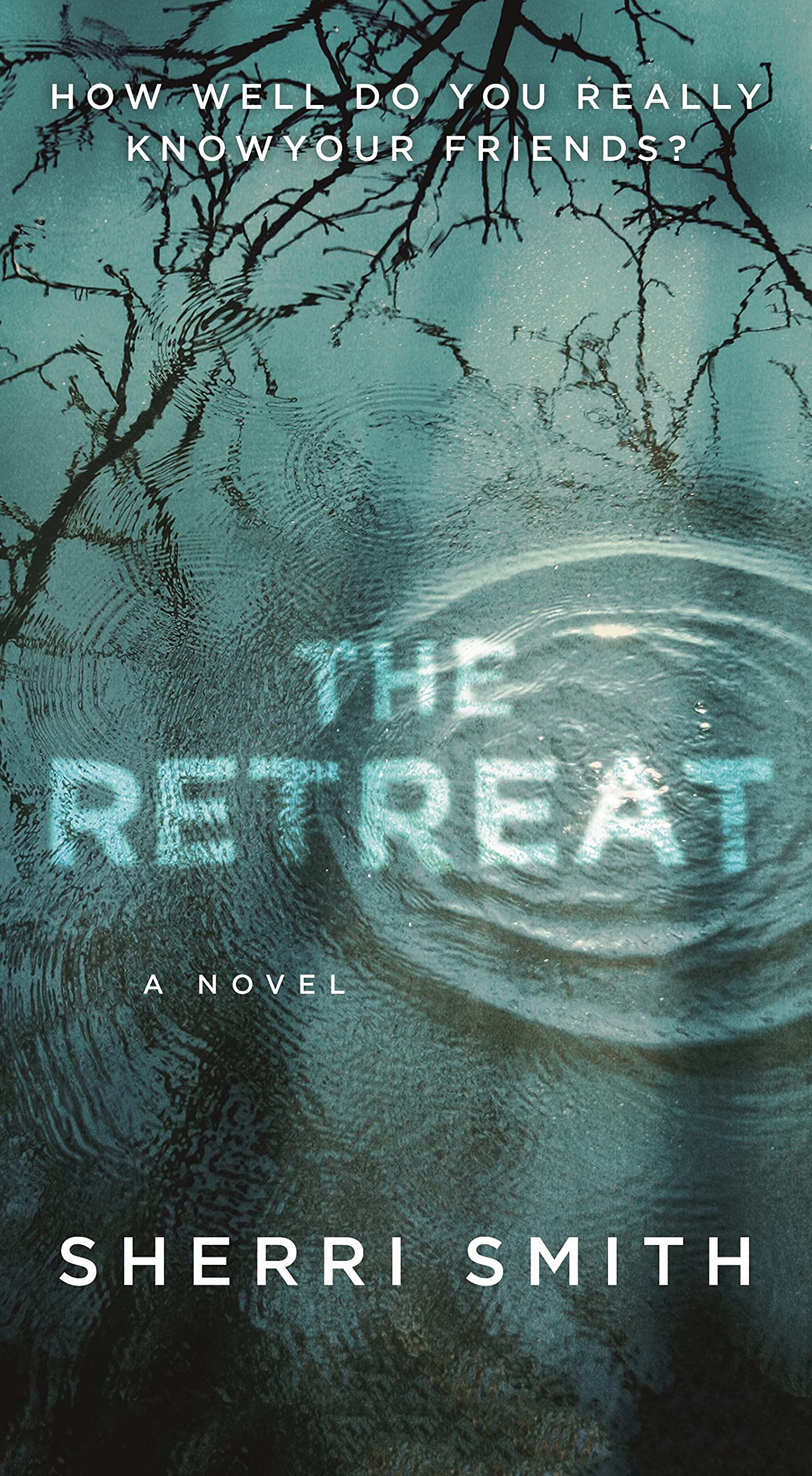 The Retreat: A Novel The Happy Book Stack