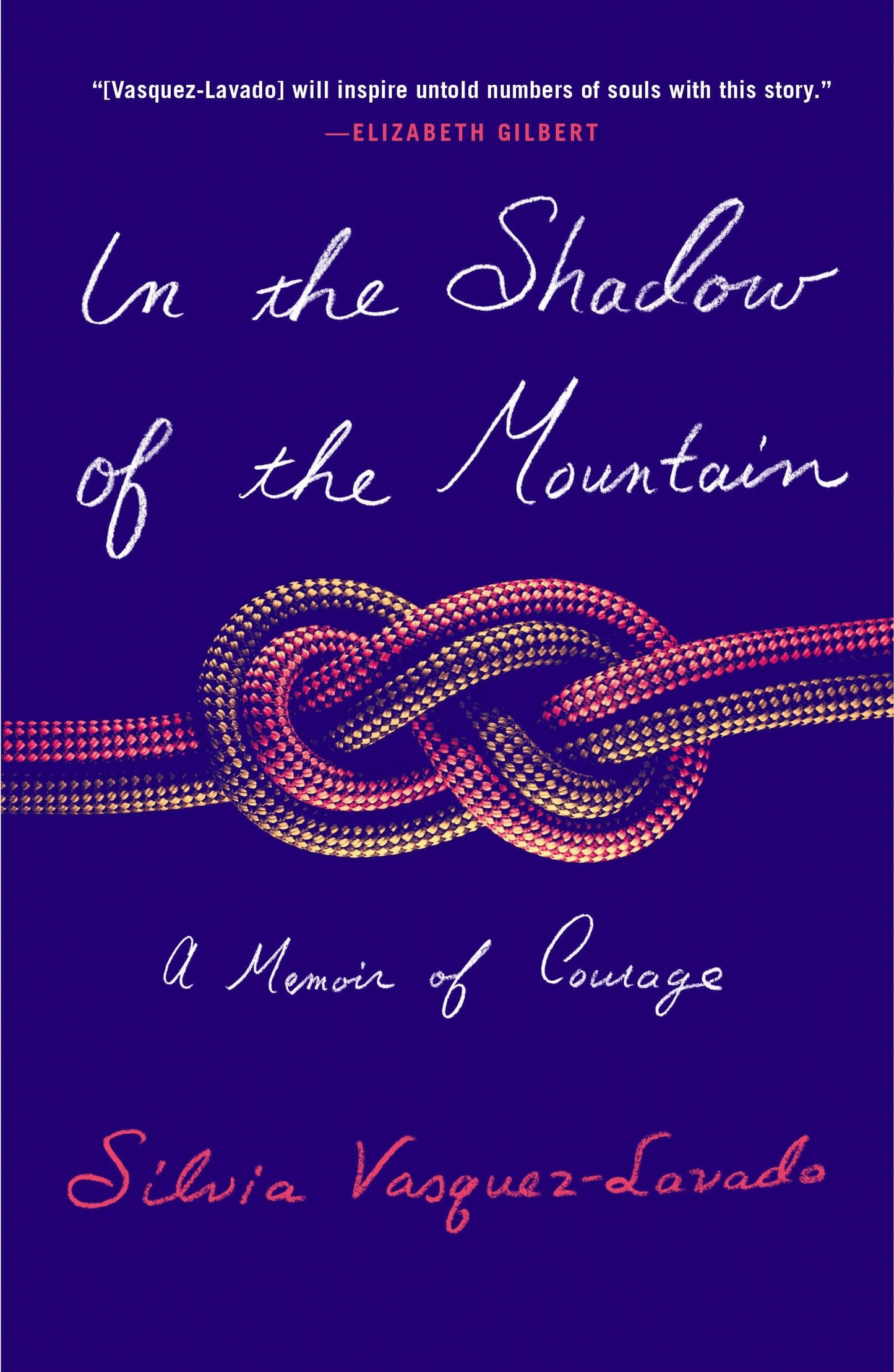 In the Shadow of the Mountain The Happy Book Stack