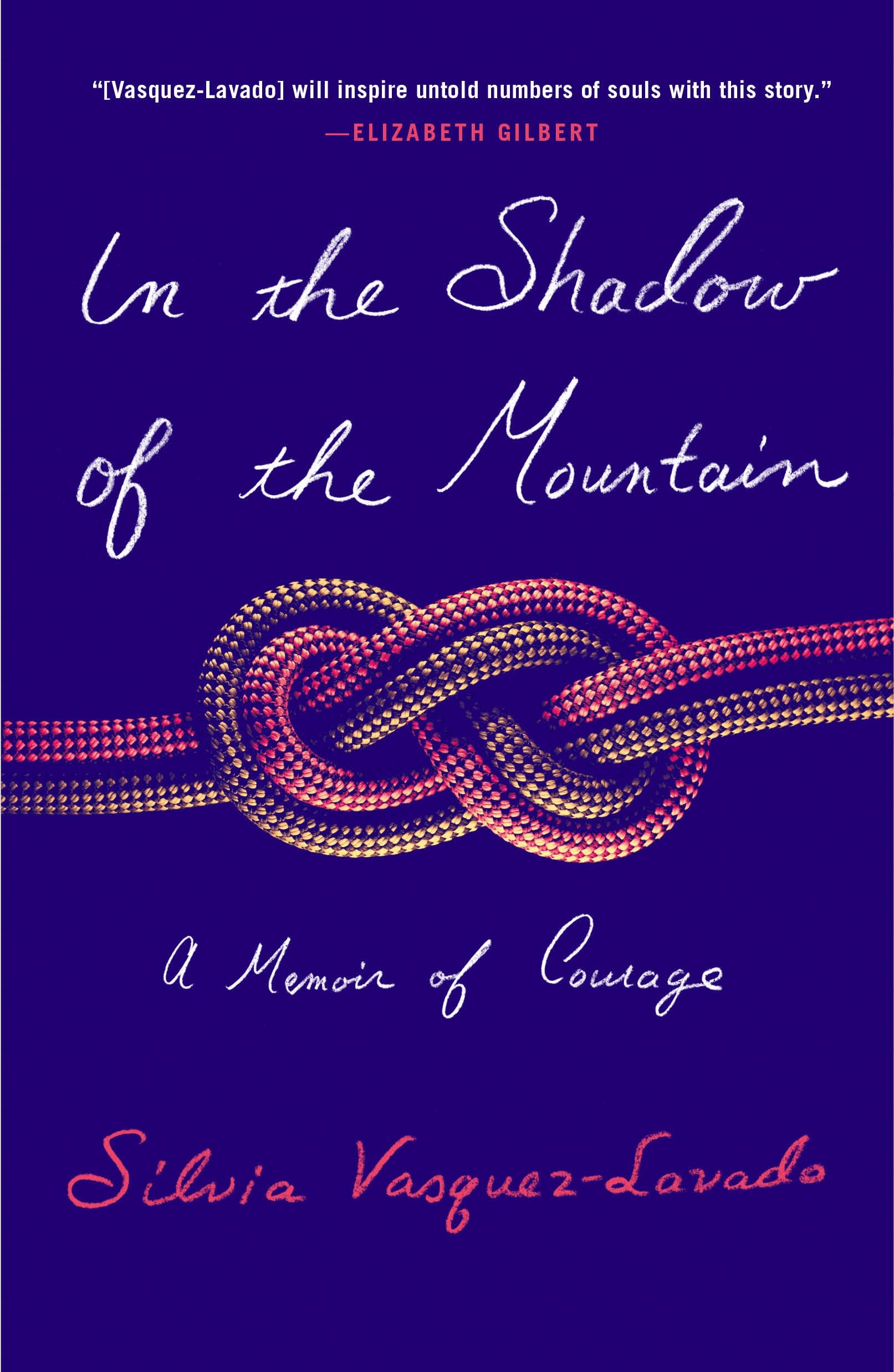 In the Shadow of the Mountain The Happy Book Stack