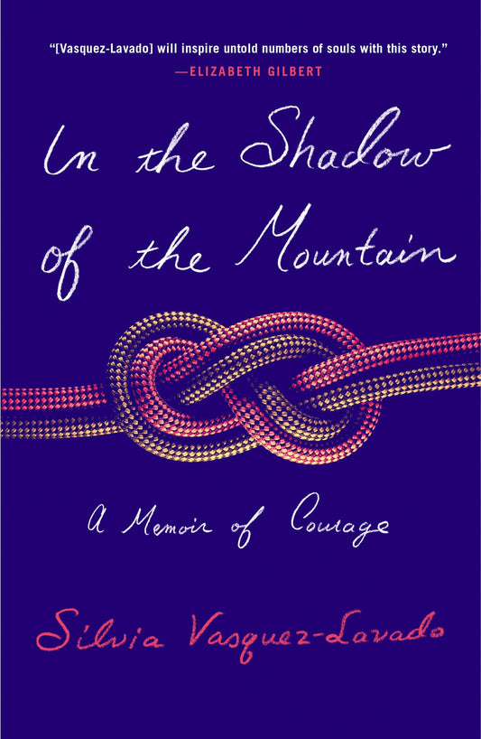 In the Shadow of the Mountain The Happy Book Stack