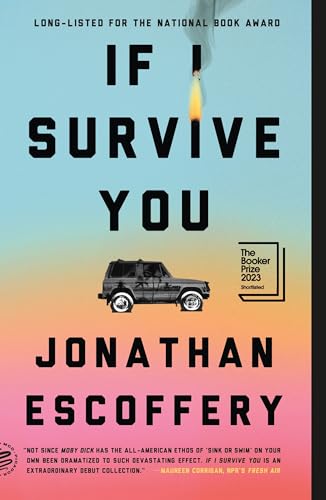 If I Survive You The Happy Book Stack