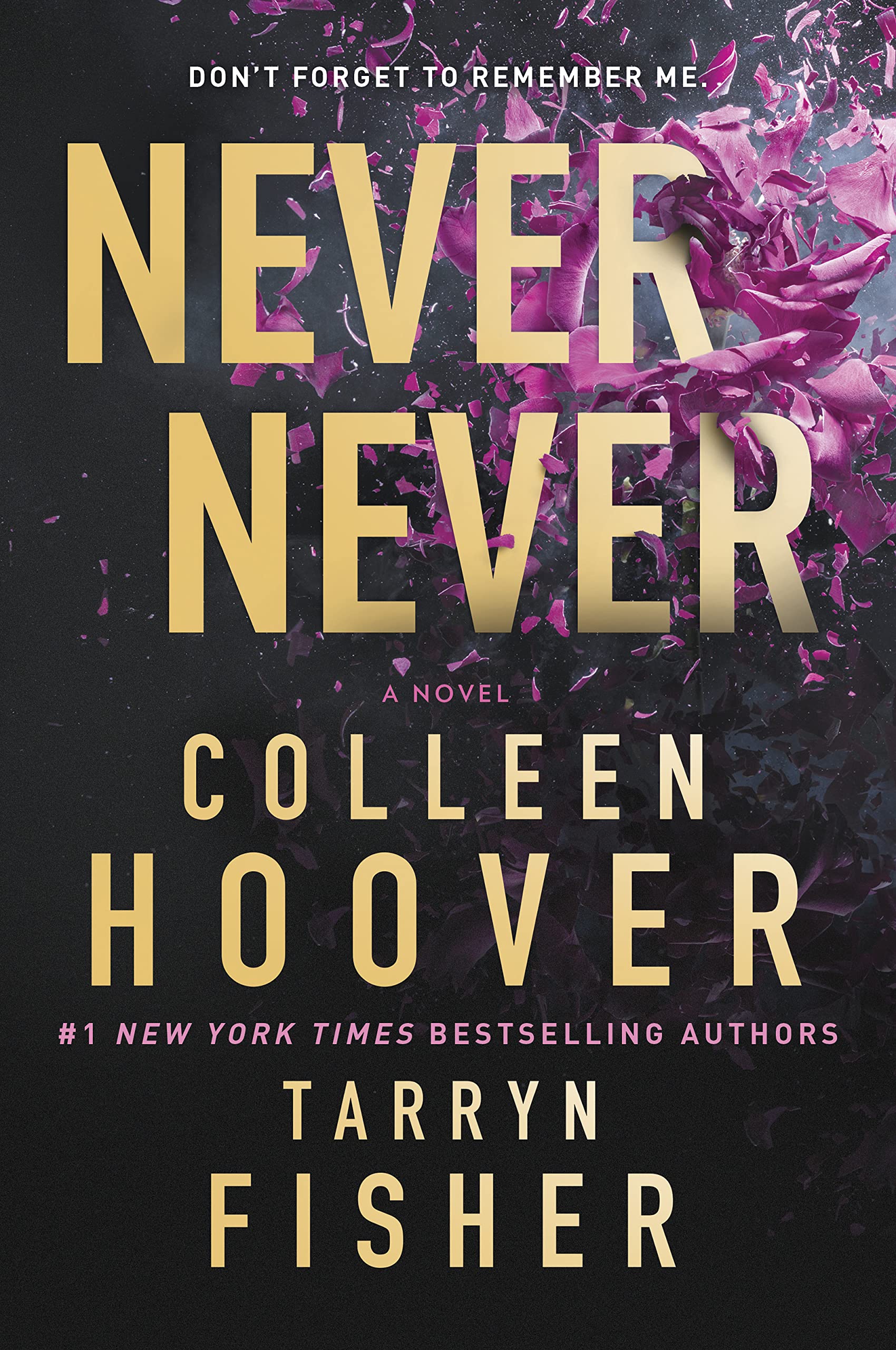 Never Never: A Romantic Suspense Novel of Love and Fate The Happy Book Stack