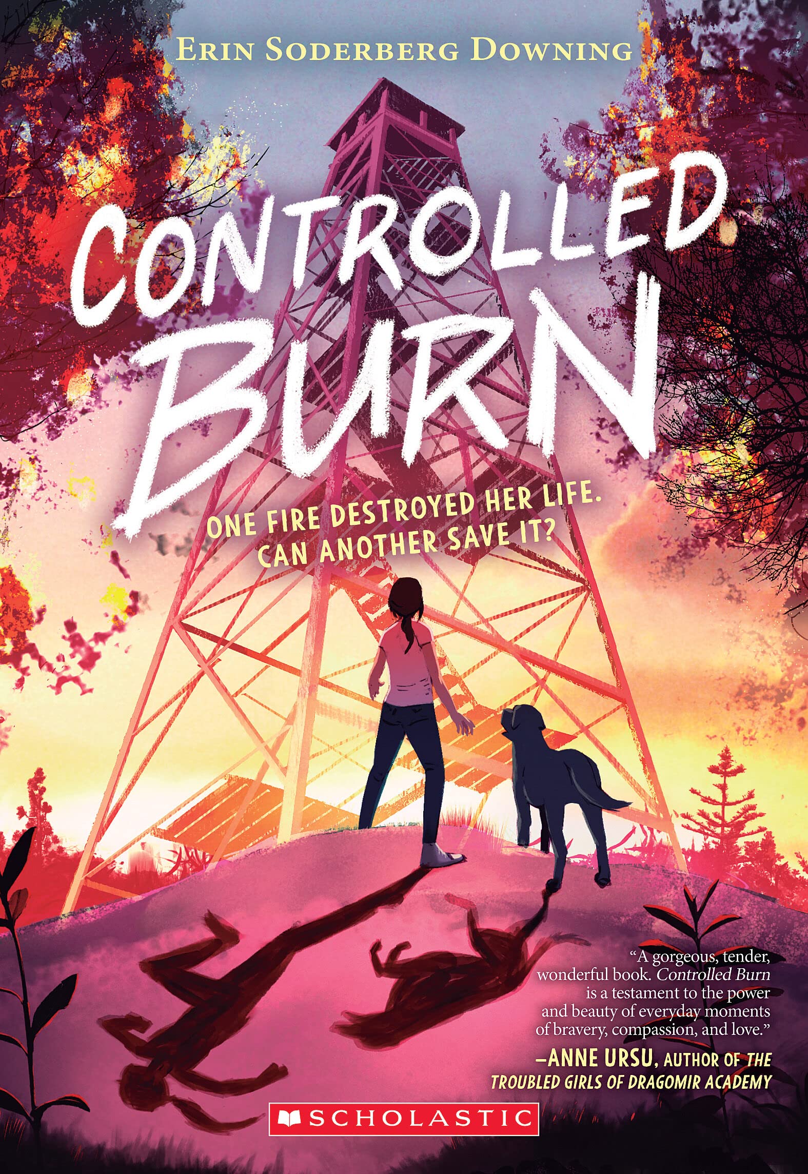 Controlled Burn The Happy Book Stack