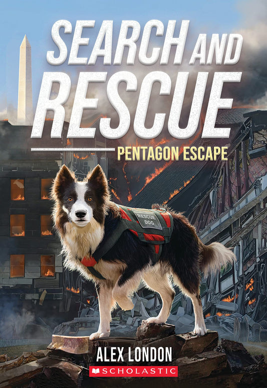 Search and Rescue: Pentagon Escape - 1055