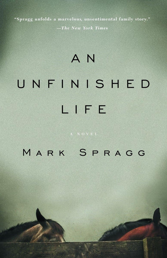 An Unfinished Life The Happy Book Stack