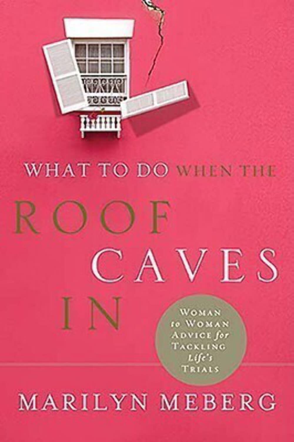 What to Do When the Roof Caves in The Happy Book Stack