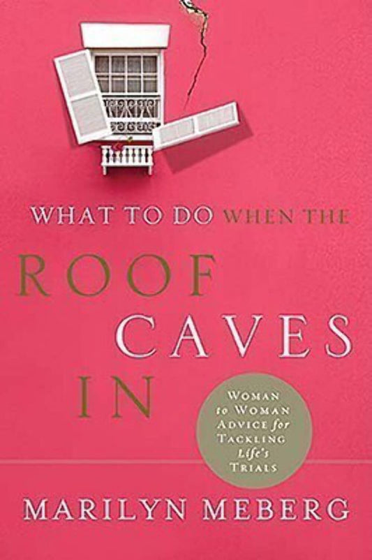What to Do When the Roof Caves in The Happy Book Stack