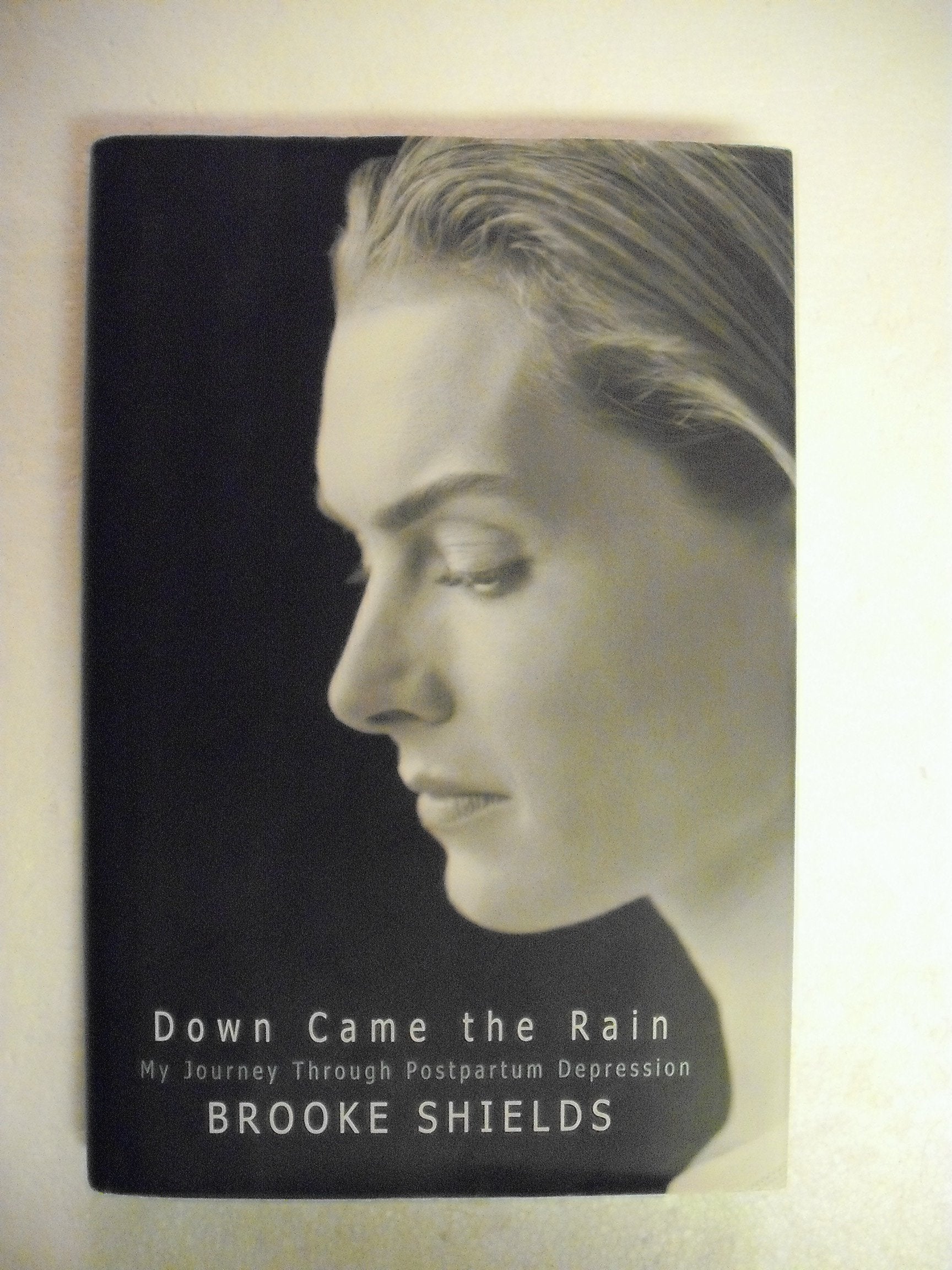 Down Came the Rain: My Journey Through Postpartum Depression The Happy Book Stack