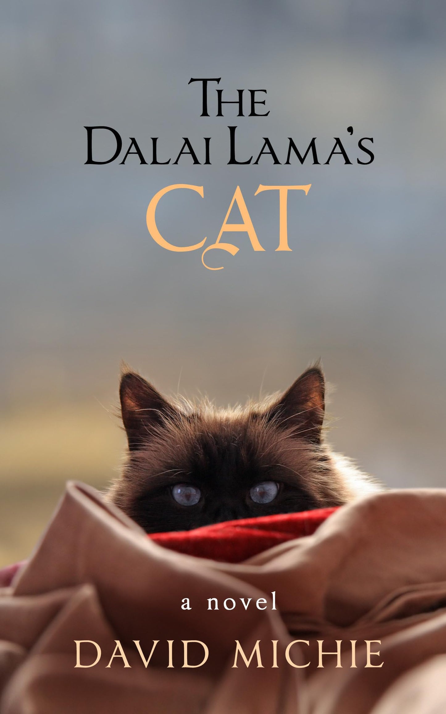 The Dalai Lama's Cat The Happy Book Stack