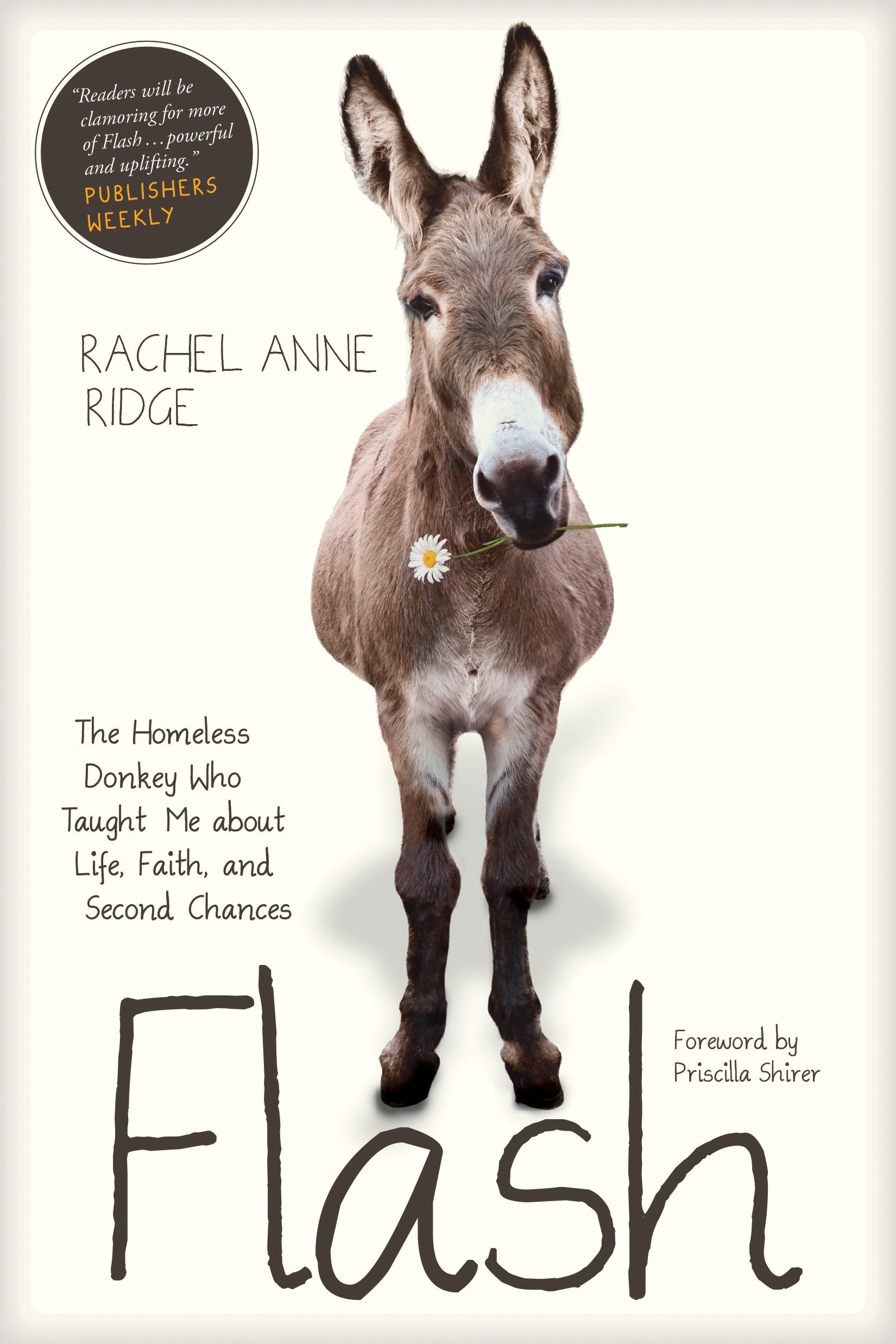 Flash: The Homeless Donkey Who Taught Me about Life, Faith, and Second Chances (Flash the Donkey) The Happy Book Stack