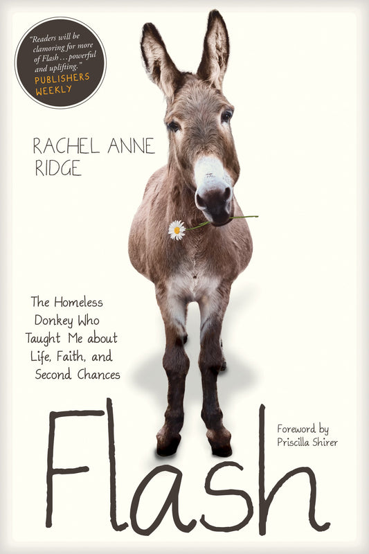 Flash: The Homeless Donkey Who Taught Me about Life, Faith, and Second Chances (Flash the Donkey) The Happy Book Stack