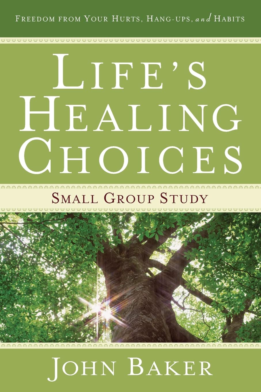 Life's Healing Choices Small Group Study: Freedom from Your Hurts, Hang-ups, and Habits The Happy Book Stack