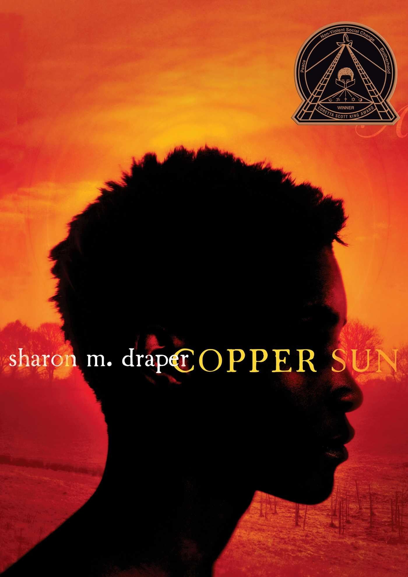 Copper Sun The Happy Book Stack