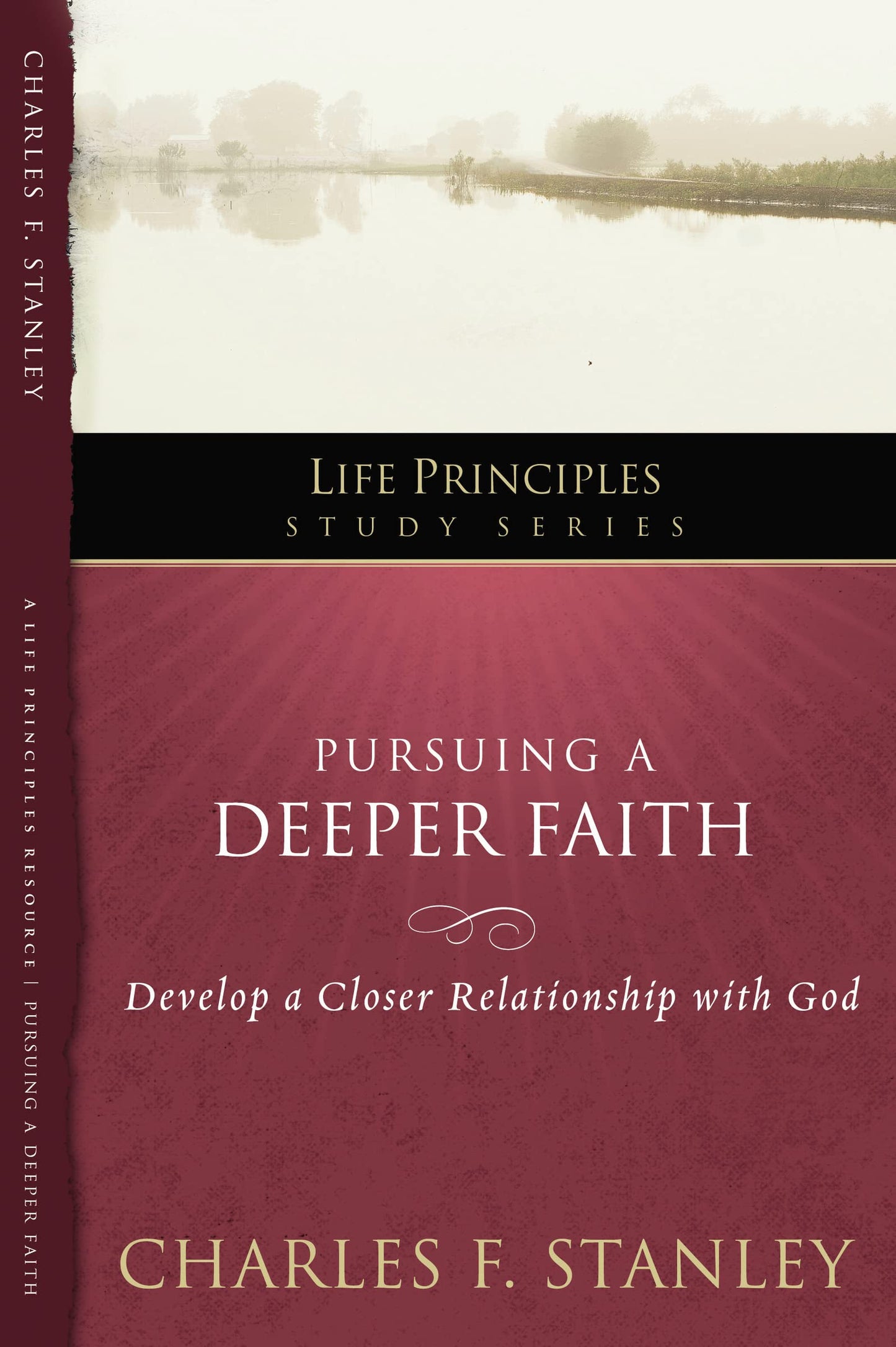 Pursuing a Deeper Faith: Develop a Closer Relationship with God (19) (Life Principles Study Series) The Happy Book Stack