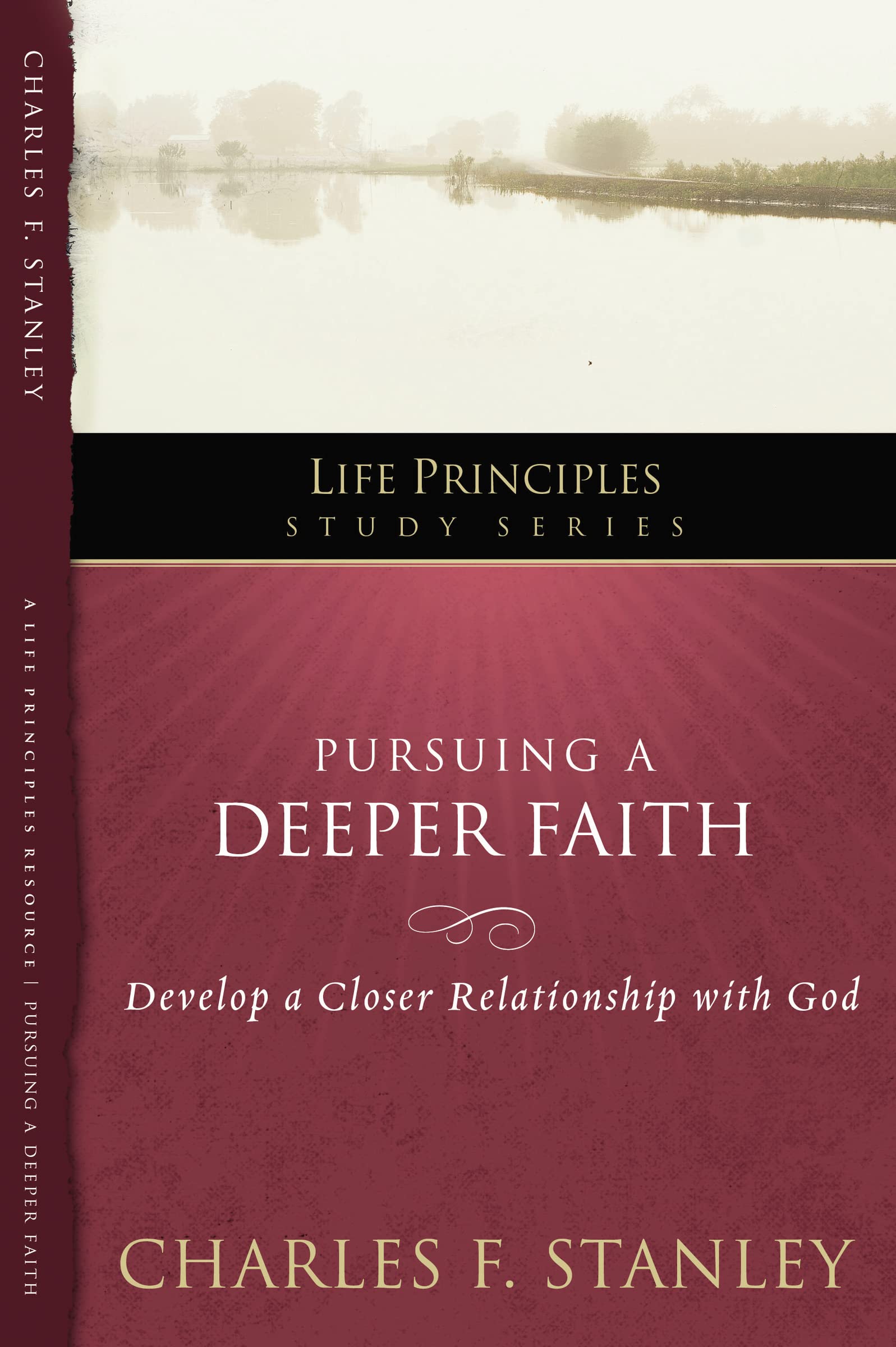 Pursuing a Deeper Faith: Develop a Closer Relationship with God (19) (Life Principles Study Series) The Happy Book Stack