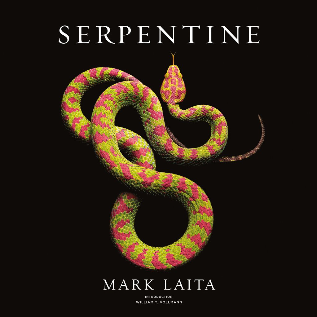Serpentine - 8264