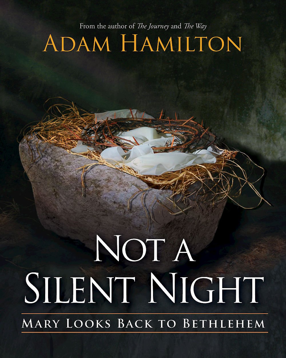 Not a Silent Night: Mary Looks Back to Bethlehem (Not a Silent Night Advent series) The Happy Book Stack