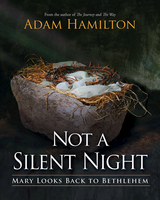 Not a Silent Night: Mary Looks Back to Bethlehem (Not a Silent Night Advent series) The Happy Book Stack