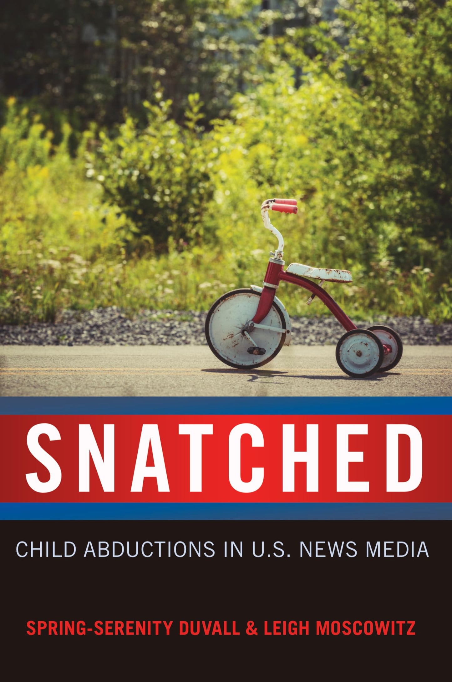 Snatched: Child Abductions in U.S. News Media (Mediated Youth) - 2841