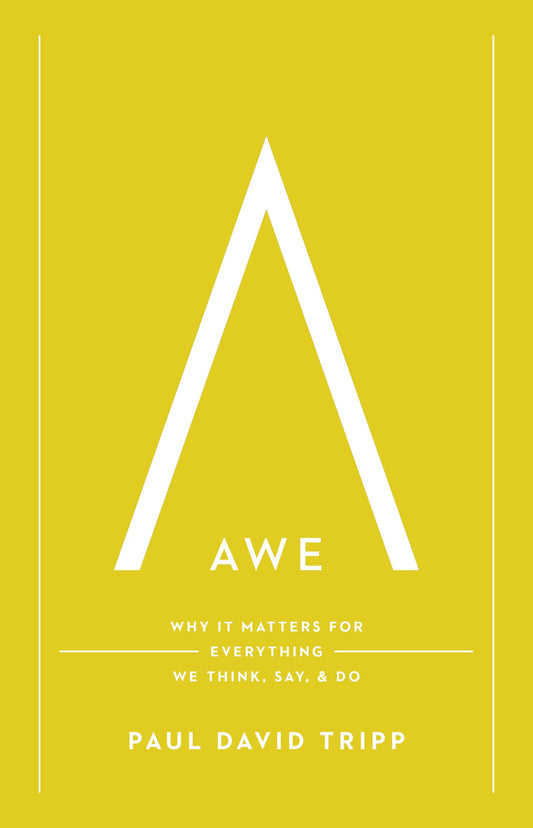 Awe: Why It Matters for Everything We Think, Say, and Do The Happy Book Stack