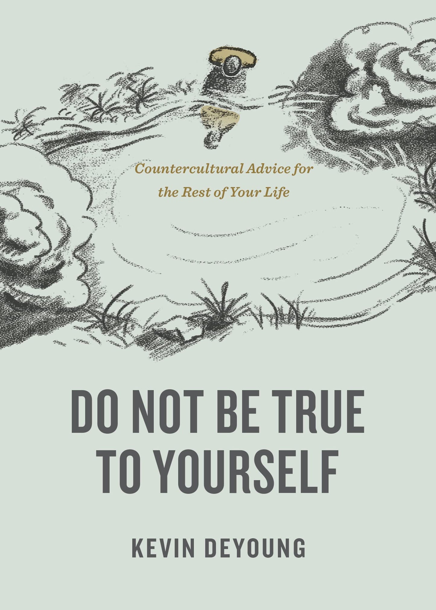 Do Not Be True to Yourself: Countercultural Advice for the Rest of Your Life The Happy Book Stack