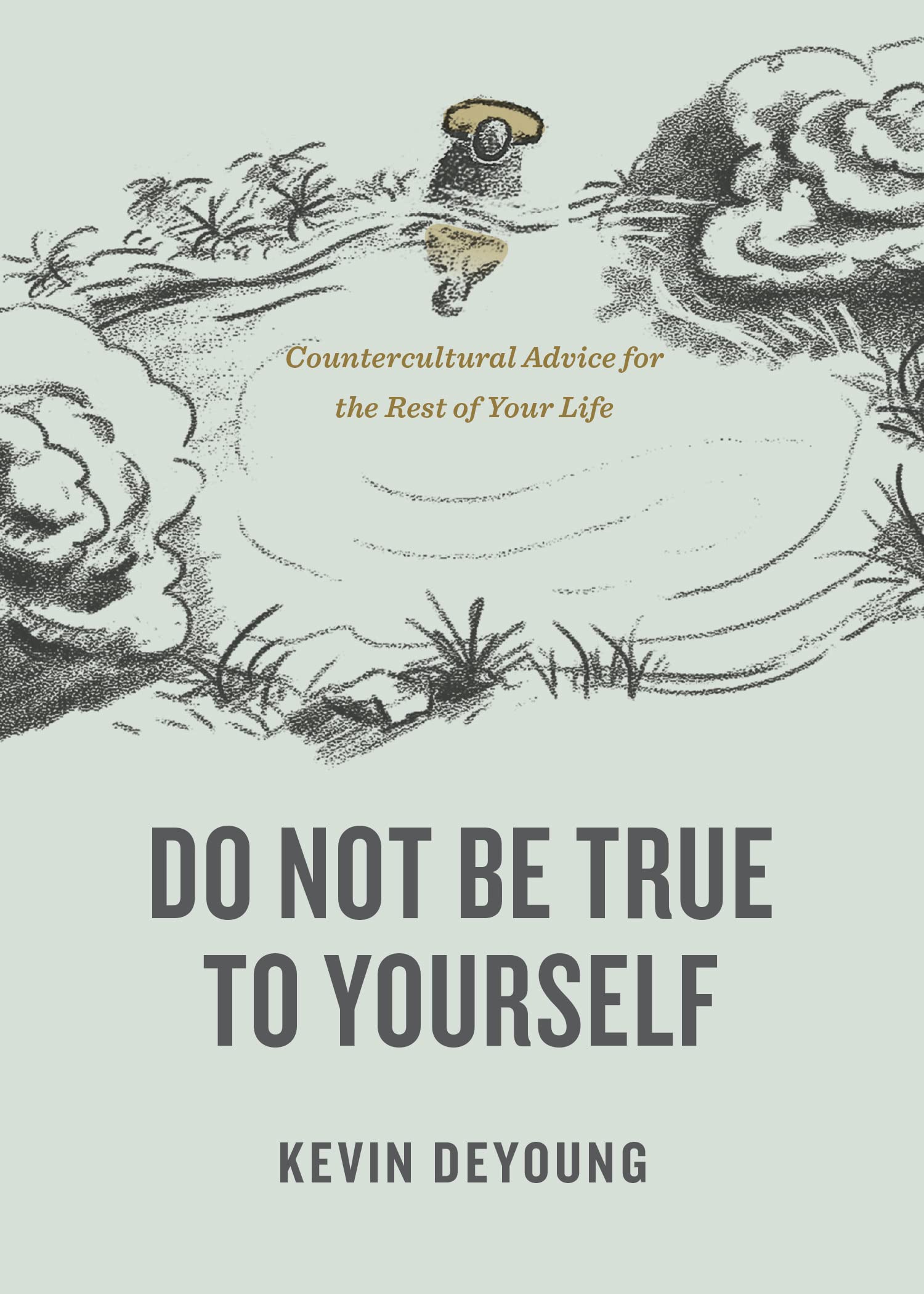 Do Not Be True to Yourself: Countercultural Advice for the Rest of Your Life The Happy Book Stack