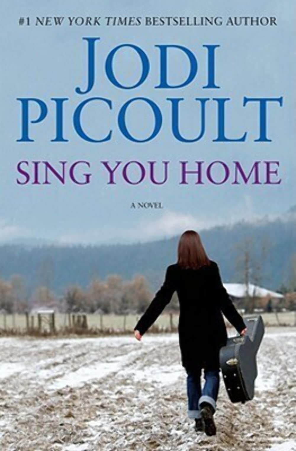 Sing You Home: A Novel The Happy Book Stack