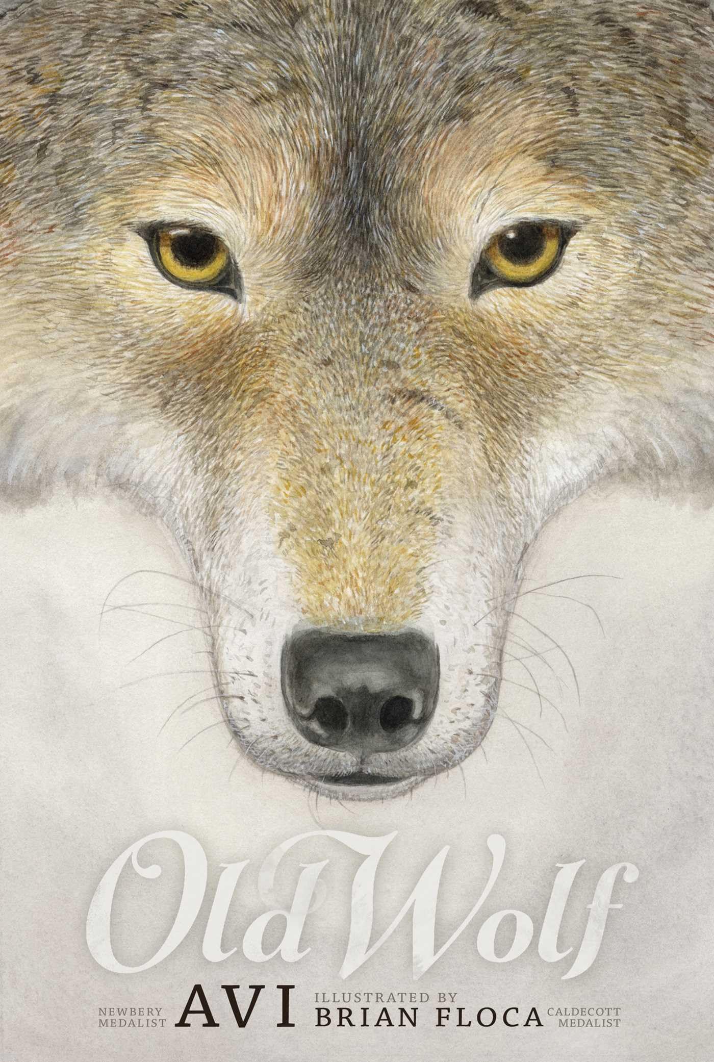 Old Wolf The Happy Book Stack