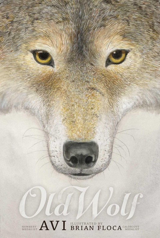 Old Wolf The Happy Book Stack