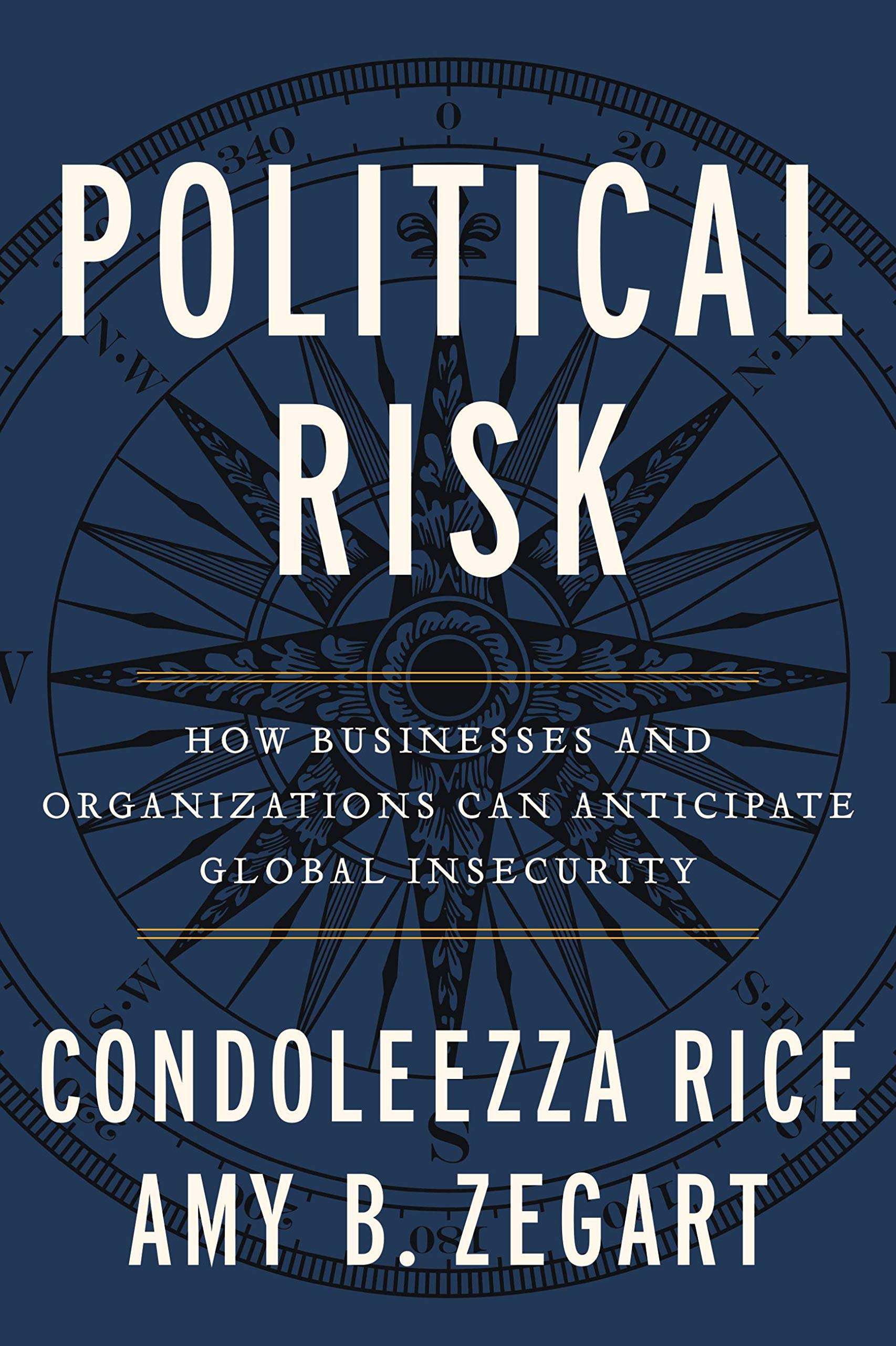 Political Risk: How Businesses and Organizations Can Anticipate Global Insecurity The Happy Book Stack