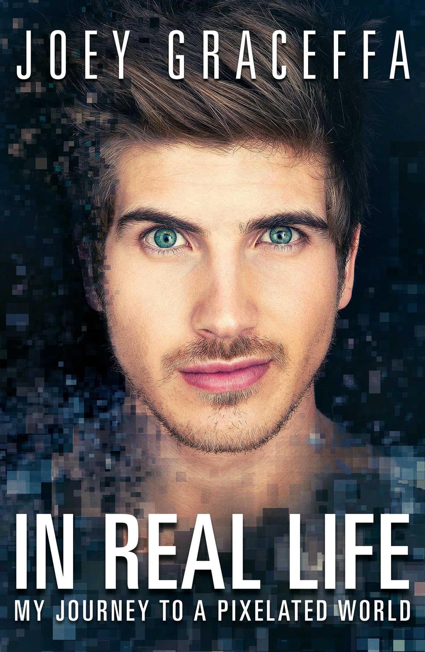 In Real Life: My Journey to a Pixelated World The Happy Book Stack