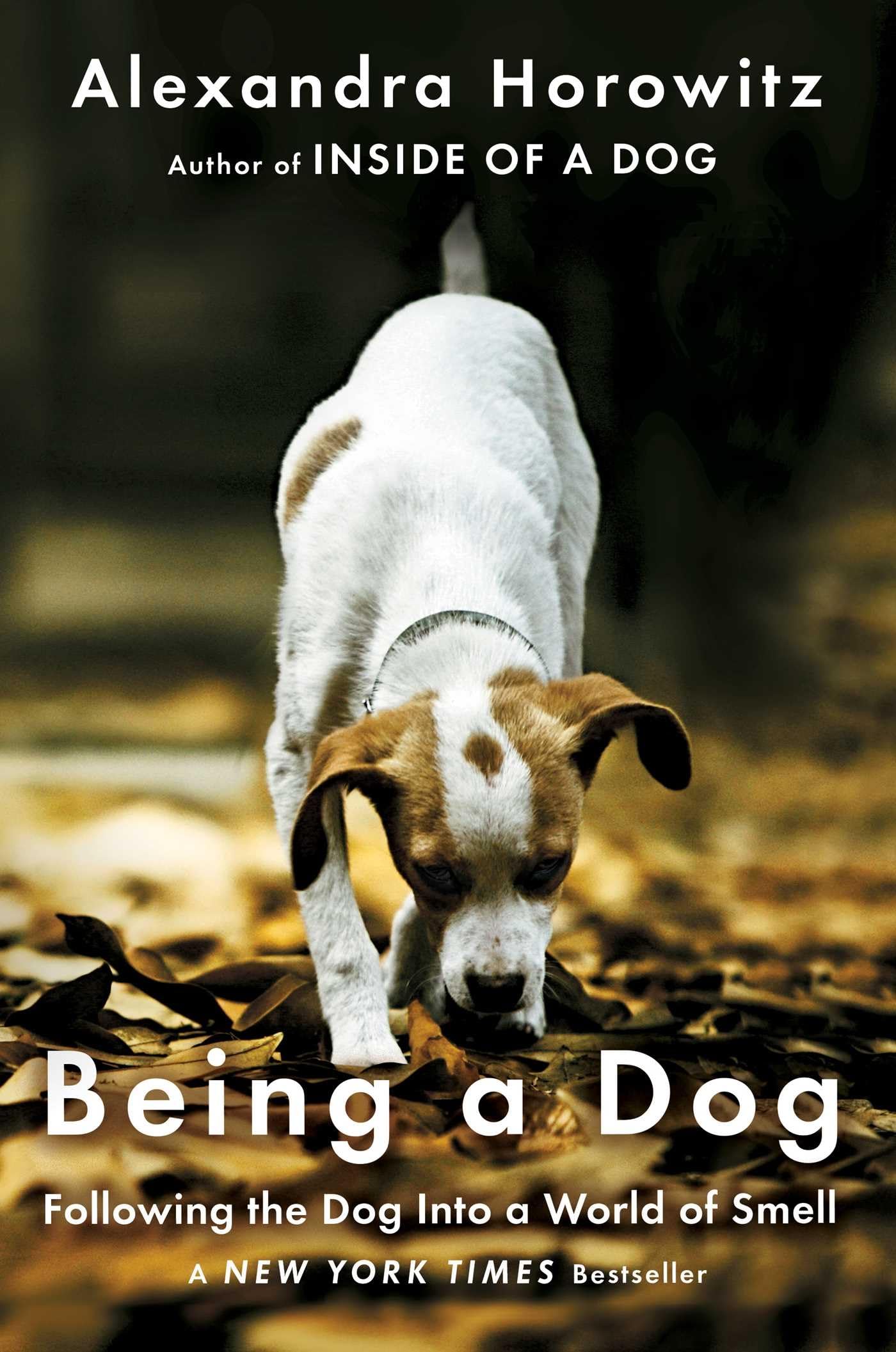 Being a Dog: Following the Dog Into a World of Smell The Happy Book Stack