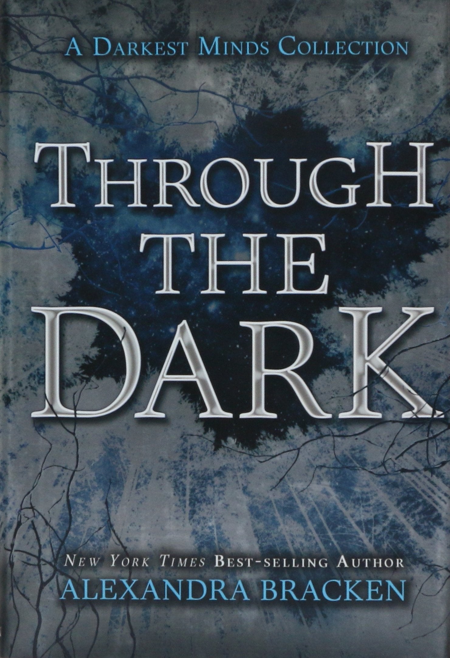 Through the Dark (A Darkest Minds Collection) (Darkest Minds Novel, A) The Happy Book Stack
