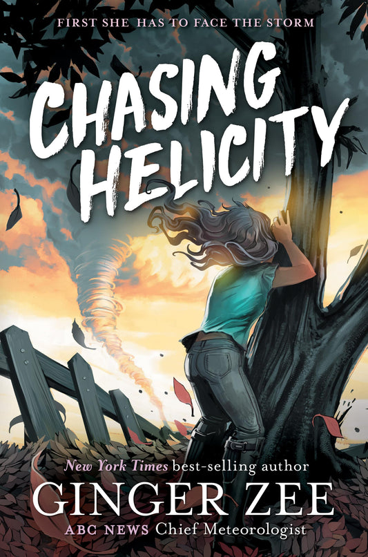 Chasing Helicity: Chasing Helicity-Chasing Helicity, Book 1 The Happy Book Stack