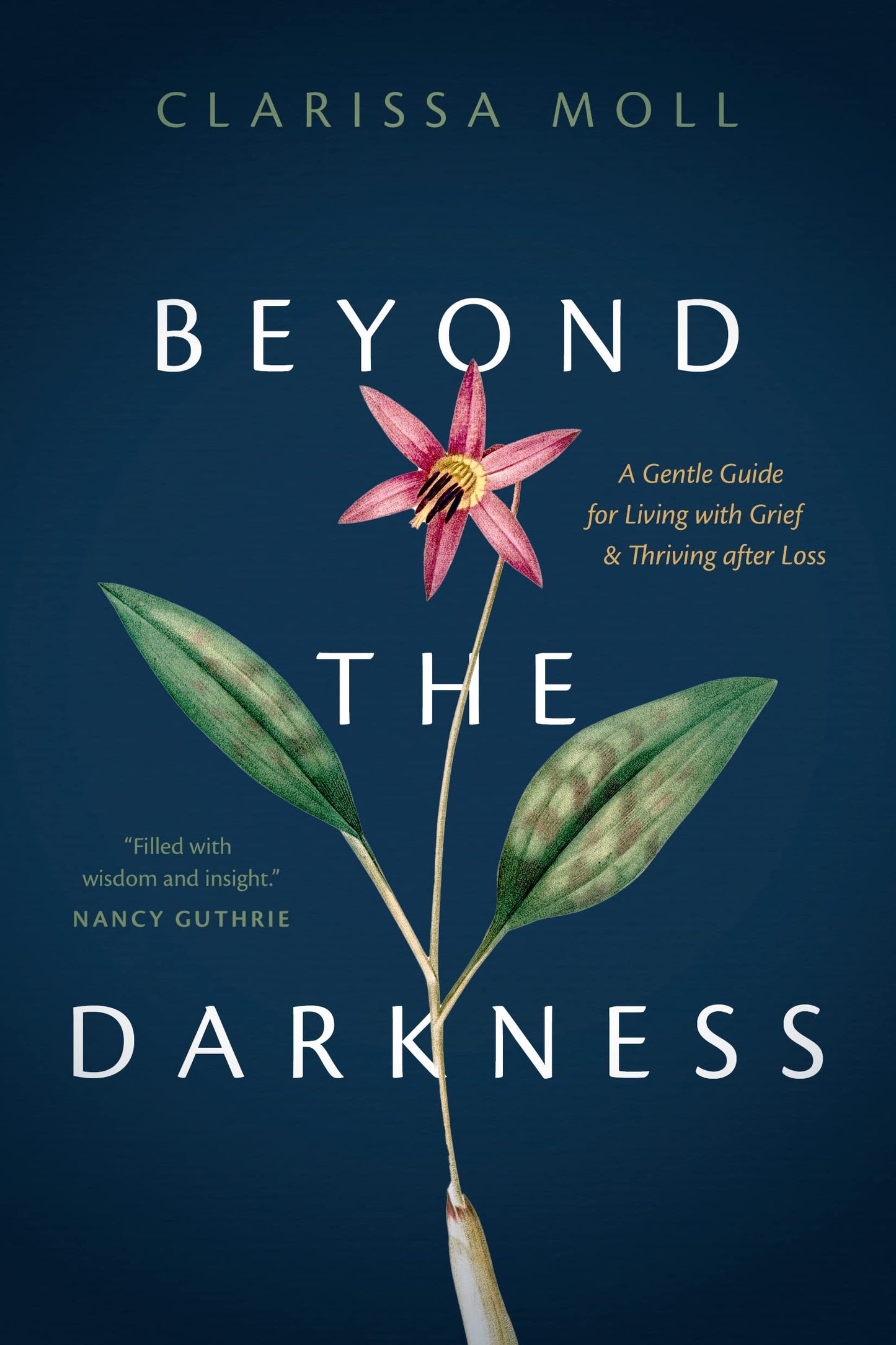 Beyond the Darkness: A Gentle Guide for Living with Grief and Thriving after Loss The Happy Book Stack